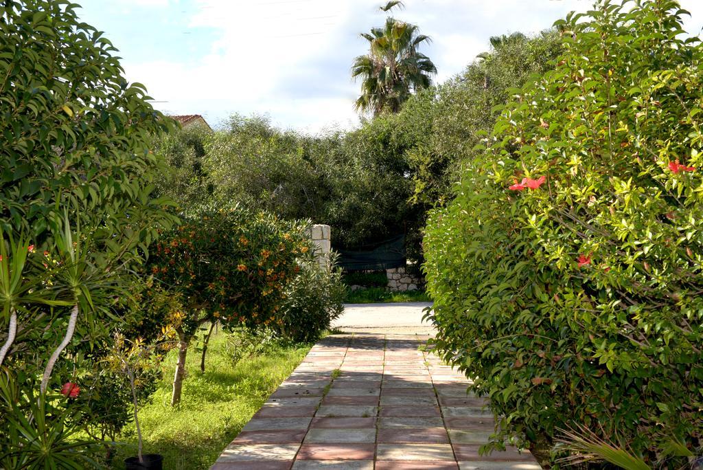 Andriani-Michalis Studios Vasilikí Exterior foto